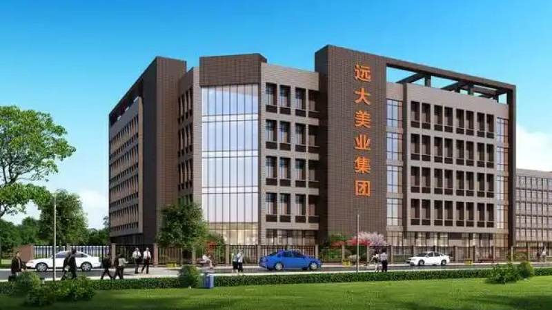 足球比分数据从采集到推送的时间链路拆解